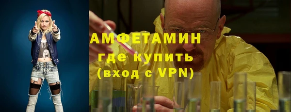 индика Абинск