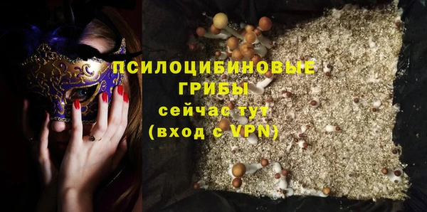 дмт Алексин