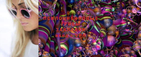 дмт Алексин
